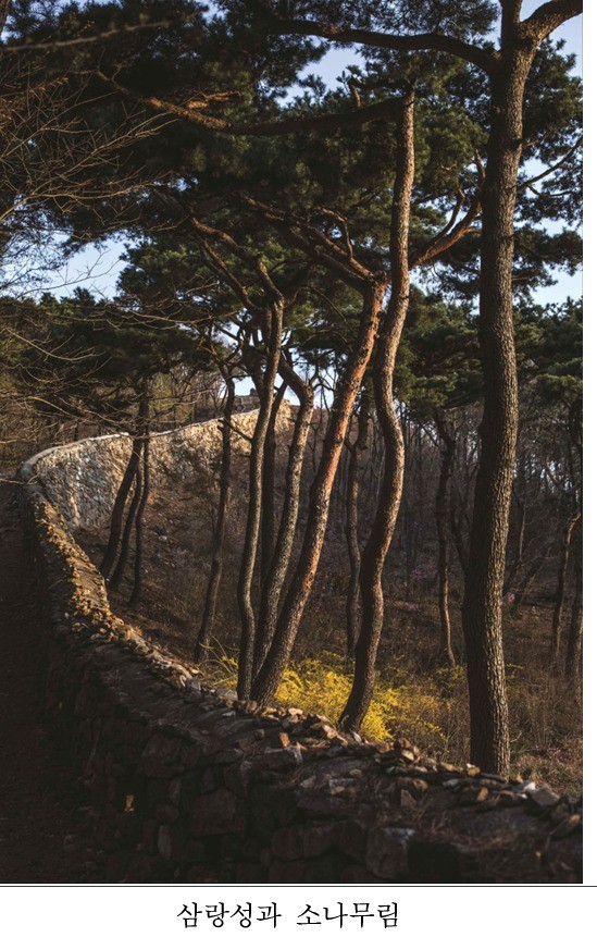 사진출처/국가유산청